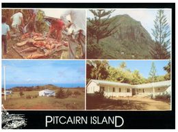 (C 14) Pitcairn Island (number 10 Of 10) - Pitcairneilanden