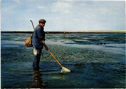 Delcampe - PECHEUR DE CREVETTES - Angelsport