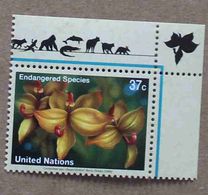 NY05-01 : Nations-Unies (New-York) / Protection De La Nature - Orchidée "Cycnoches Spp." - Nuevos