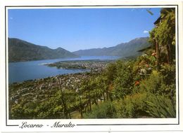 Cart331cLocarno Muralto Lago Maggiore Veduta Filare Viti Fiori Montagne Lac Lake - Muralto