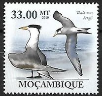 Mozambique - MNH 2010 :   Greater Crested Tern  -  Thalasseus Bergii - Möwen