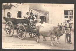 ATTELAGES DE BOEUFS  PYRENEENS  / OBLIT 1908 - Other & Unclassified