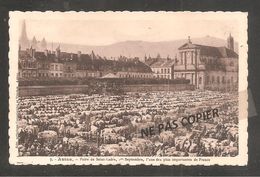 AUTUN   Foire De St Ladre / Vaches / - Autun