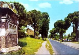 #858   Via Appia Antica Street In Roma - Lazio, ITALY - Postcard - Parks & Gardens