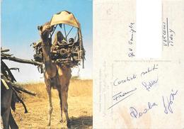 Nomad Family Travelling W-Sudan. Viaggiata In Busta - Unclassified