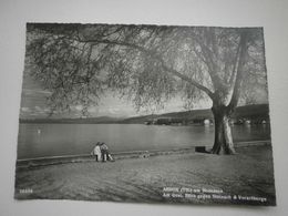 Arbon, Am Quai, Blick Gegen Steinach & Vorarlberge (GF1691) - Arbon