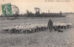 28-EN BEAUCE- BERGER ET SON TROUPEAU - Chartres