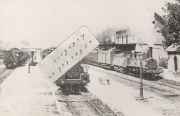 45 - LES BORDES - Trains En Gare De .....  ( Photo Souple 14 Cm X 9 Cm Format Cpa ) - Treinen