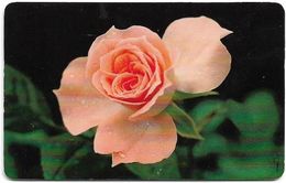 UK - BT - BCF - Rose Trial Card 20£, TRL016a (With Date, Written 4438, Big Gemplus), 09.1996, 2.000ex, Used - BT Test & Trials