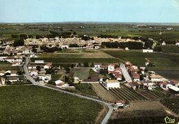 34* MAUGUIO /  VUE AERIENNE - Mauguio