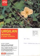 Dicranostigma Franchetianum.  Cartolina Pubblicitaria Urgalan. Simes - Piante Medicinali