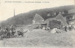 LE CANTAL PITTORESQUE (15) La Vie Aux Champs La Batteuse Beau Plan - Otros & Sin Clasificación