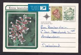 South Africa: Airmail Stationery Postcard To Netherlands, 1982, Extra Stamp, Erica Flower, Air Label (traces Of Use) - Cartas & Documentos
