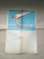 Affiche 60 X 40 " Theme Gymnastique     " - Posters