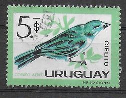 URUGUAY - 1962 - CIELITO- THRAUPIS SAYACA - USATO (YVERT AV. 241-MICHEL 950) - Moineaux