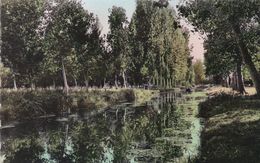 France Carte Postale Le Marais Poitevin - Poitou-Charentes