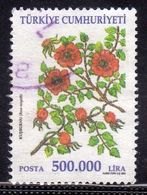 TURCHIA TURKÍA TURKEY 2001 FLORA PLANTS FLOWERS ROSA MOYESII FIORI FLEURS 500.000 LIRA USATO USED OBLITERE' - Gebraucht