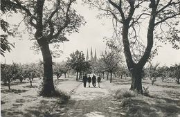 Tilburg , Cistercienser Abdij , O.L. Vr. V. Koningshoeven , Kloostertuin       (glansfotokaart) - Tilburg