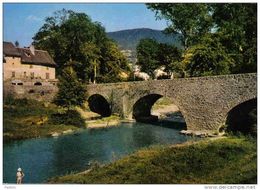 Carte Postale  48.  Chanac Le Pont Vieux Sur Le Lot Trés Beau Plan - Chanac