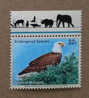 NY95-01 : Nations-Unies (New-York) / Protection De La Nature - Haliaeetus Leucocephalus (Pygargue à Tête Blanche) - Unused Stamps