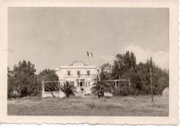 Photo Guerre D Algérie 1962 . - War, Military