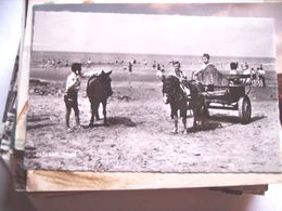 Nederland Holland Pays Bas Cadzand Met Pony's Op Het Strand - Cadzand