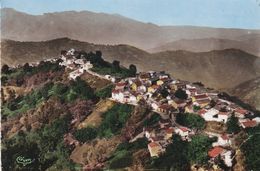 Cpsm 9x14. Vue Aérienne . ALGERIE . Village Kabyle De TAGUEMOUT - Autres & Non Classés