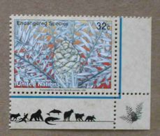 NY96-01 : Nations-Unies (New-York) / Protection De La Nature - Encephalartos Horridus - Unused Stamps