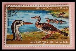 110. SENEGAL 1974 USED STAMP BIRDS . - Sénégal (1960-...)
