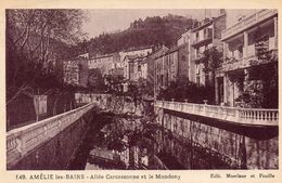 66. CPA. AMELIE LES BAINS - Allée Carcassonne Et Le Mondony - - Salses