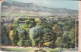 Colorado Springs - Pike's Peak From Antler's Hotel - Colorado Springs