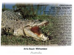 (D 1) Australia - NT - Airlie Beach Crocodile - Far North Queensland