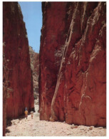 (D 5) Australia - NT - Standley Chasm - Ohne Zuordnung