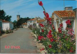 Cartes Postales ILE D'AIX Rue Marengo Et Le Semaphore - Poitou-Charentes