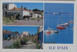 Cartes Postales ILE D'AIX  Promenade En Calèche Rue Fleurie De Roses Trémières Fort Boyard Multivues - N° 174939 - Poitou-Charentes