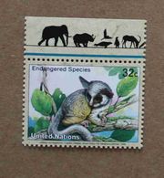 NY98-01 : Nations-Unies (New-York) / Protection De La Nature - Galago Du Sénégal (Galago Senegalensis) - Unused Stamps