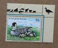 NY98-01 : Nations-Unies (New-York) / Protection De La Nature - Oie D'Hawaï (Branta Sandvicensis) - Unused Stamps