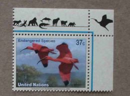 NY03-01 : Nations-Unies (New-York) / Protection De La Nature - Ibis Rouge (Eudocimus Ruber) - Nuevos