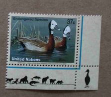 NY03-01 : Nations-Unies (New-York) / Protection De La Nature - Dendrocygne Veuf (Dendrocygne - Nuevos