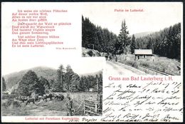 D8208 - Bad Lauterberg Gruß Aus - Luttertal Mit Forsthaus Kupferhütte - Verlag Otto Künemund - Bad Lauterberg