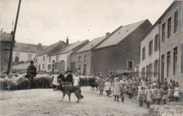 Tellin Carte Photo De L'ecole Des Filles  Et Café De La Poste Super Animée N'a Pas Circulé - Tellin