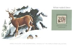 (D 7) Info Card With Mint Stamp - WWF - World Wildlife Fund International - Deer - Otros