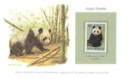 (D 7) Info Card With Mint Stamp - WWF - World Wildlife Fund International - Giant Panda - Otros