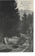 NIEDERBRONN-LES-BAINS - Vue Sur Les Ruines De Vasenburg - Niederbronn Les Bains