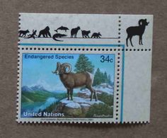 NY02-01 : Nations-Unies (New-York) / Protection De La Nature - Mouflons Des Rocheuses (Ovis Canadensis) - Nuevos