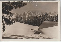 SUISSE SG ST. GALL FLUMSERBERG BLICK GEGEN SICKELKAMM MIT ...ETAT - Flums