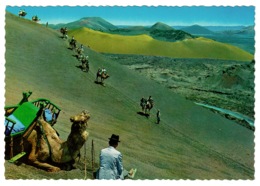 Ref 1385 - Ethnic Postcard - Camel Caravan On Mountain Of Fire - Lanzarote Canary Islands Spain - Lanzarote