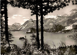 Sils Im Engadin - Blick Von Der Bellavista Auf Silsersee U. Maloja (20-129) * 31. 7. 1961 - Sils Im Engadin/Segl