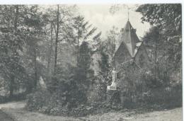 Tieghem - (Anzegem) - Gezicht In Het Bosch - Vue Dans Le Bois - Anzegem