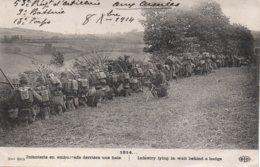 Cpa Infanterie En Embuscade Derrière Une Haie En 1914. - Guerre 1914-18